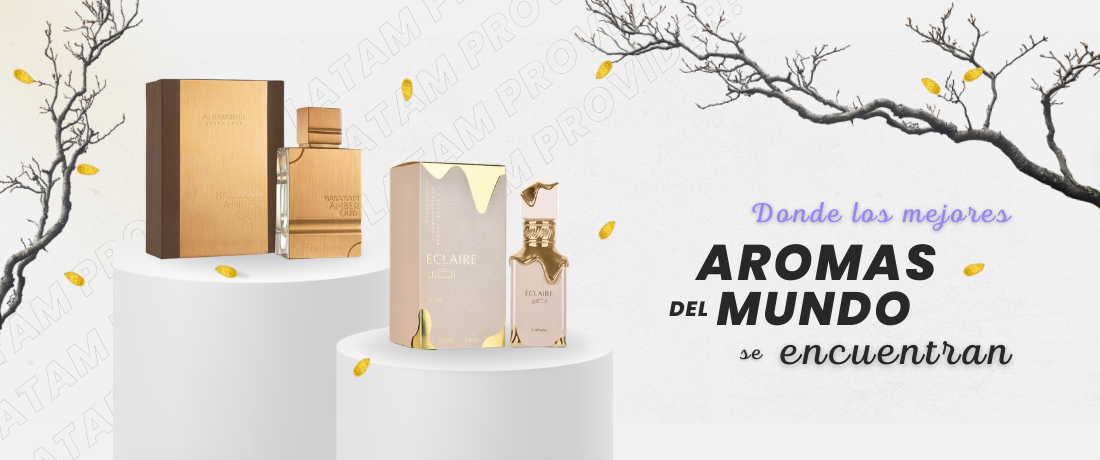 LATAM Provider promo