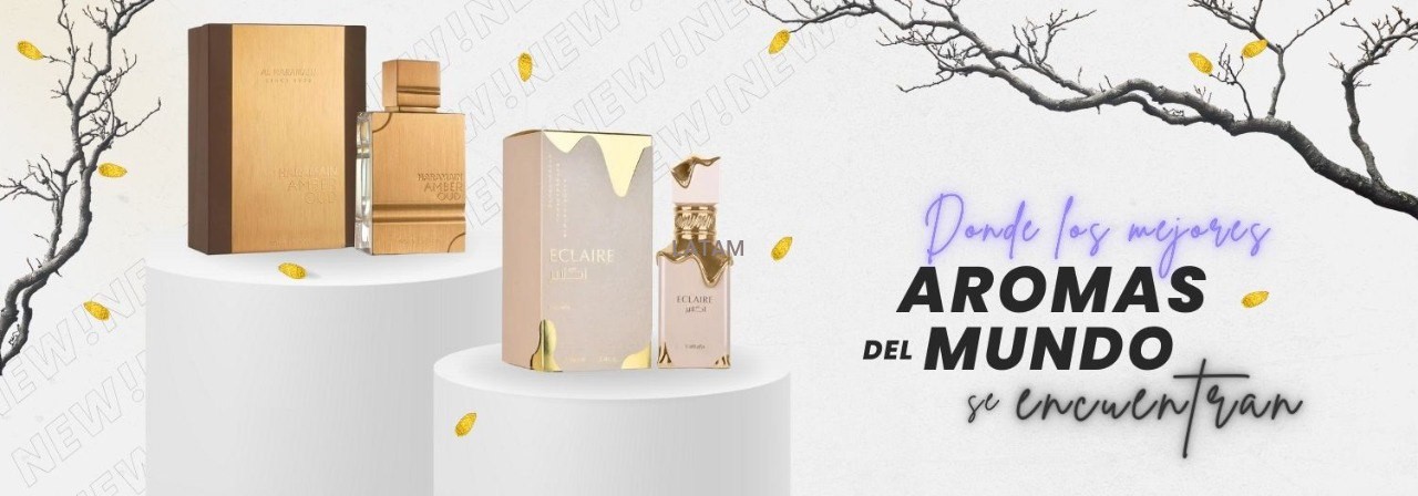 LATAM Provider promo