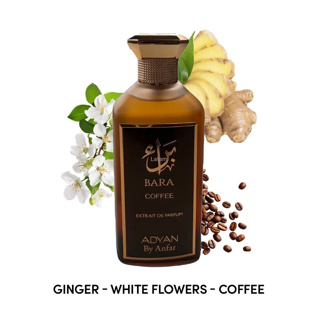 Bara Coffe Eau Parfum 100ml